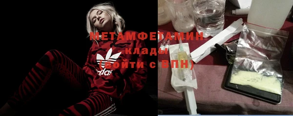 прущие грибы Нефтекумск